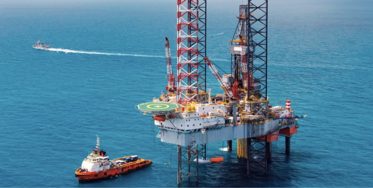 Custom Digital Platform